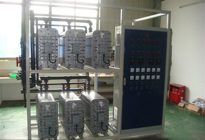 30T H电去离子（EDI）设备